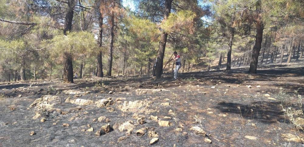 Ali Dağı’nda çıkan yangına vatandaşların müdahalesiyle kontrol altına alındı 