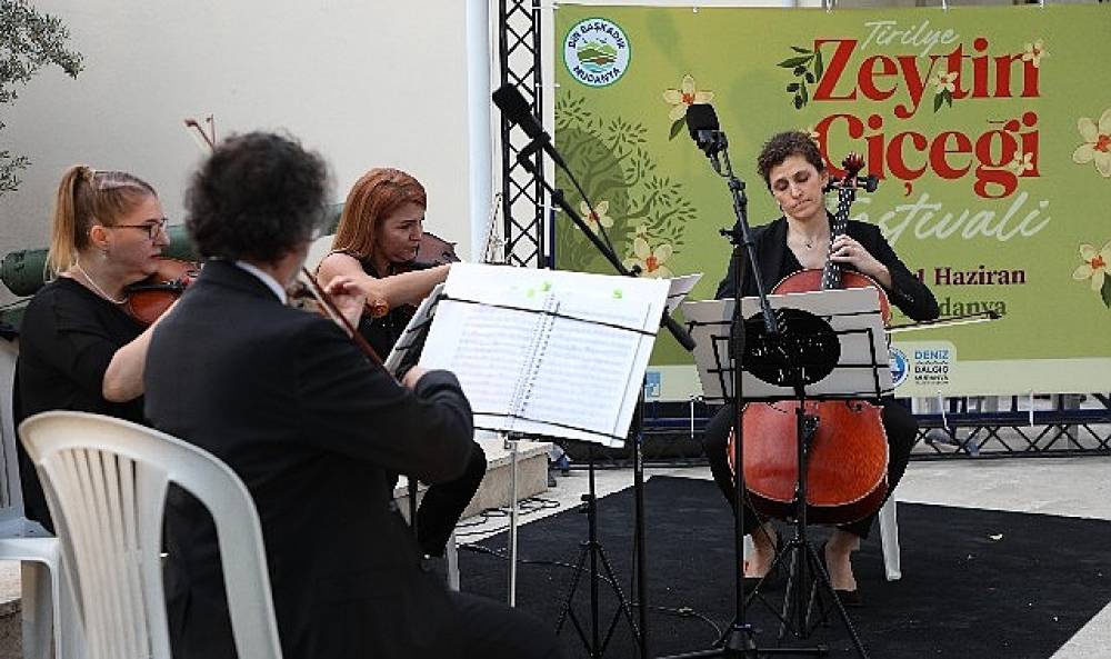 Tirilye'de zeytinin çiçeği açtı, festival sokakları sardı