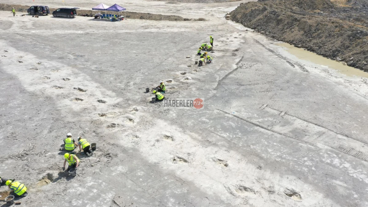 166 Milyon Yıl Öncesinden Gelen Mesaj İngiltere'de Devasa Dinozor Ayak İzleri Keşfedildi!
