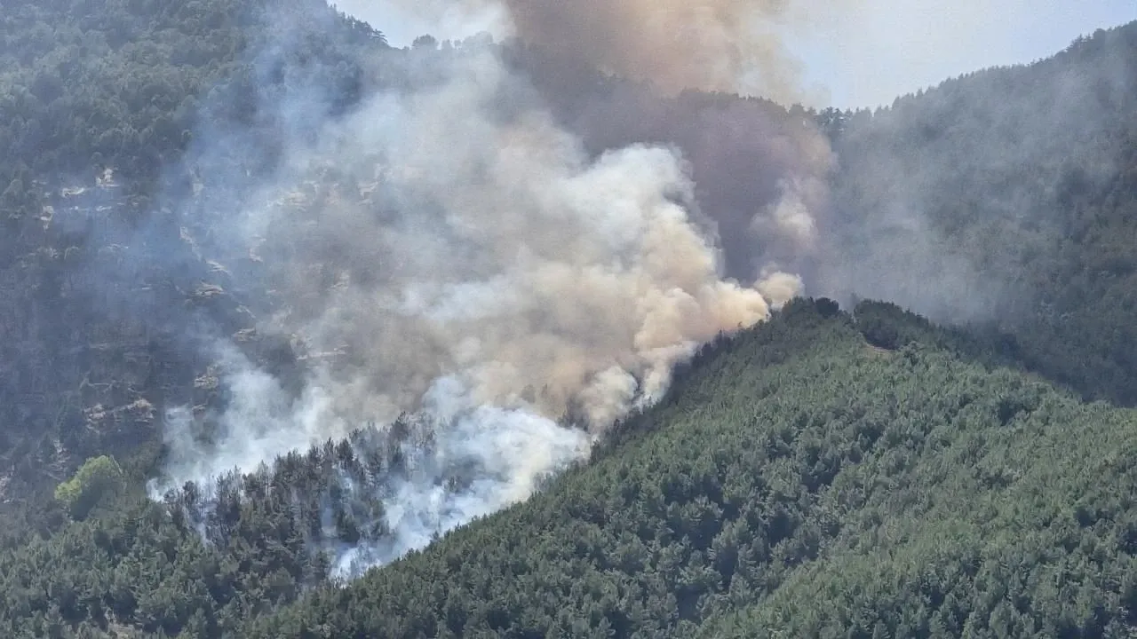 Temmuz'da 61 orman yangını: 4 kişi tutuklandı