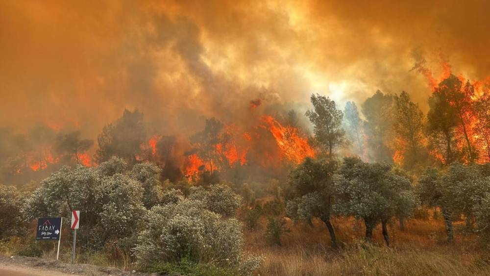 5 ilde orman yangınlarıyla mücadele sürüyor