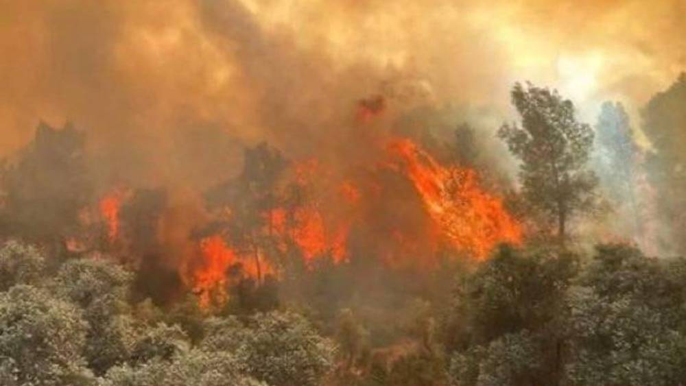 Manisa Yunusemre'deki orman yangını kontrol altına alındı