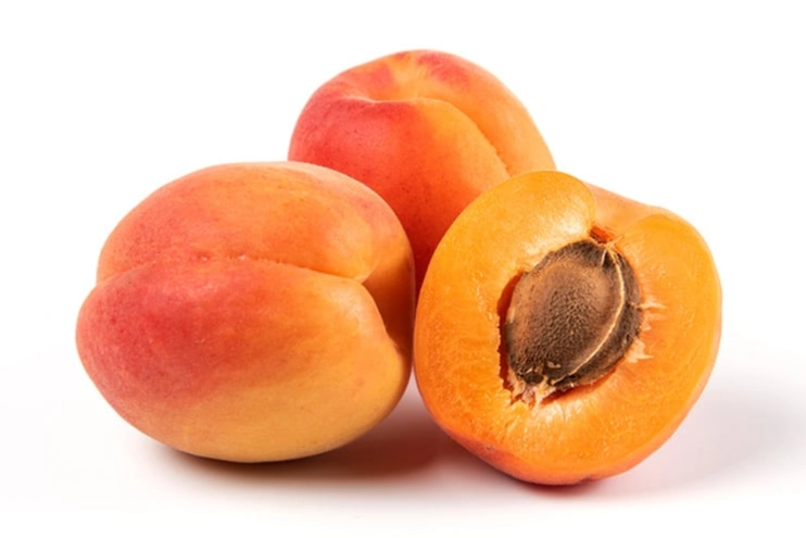 Bitkisel &uuml;r&uuml;nlerde en y&uuml;ksek yeterlilik kayısı ve zerdalide