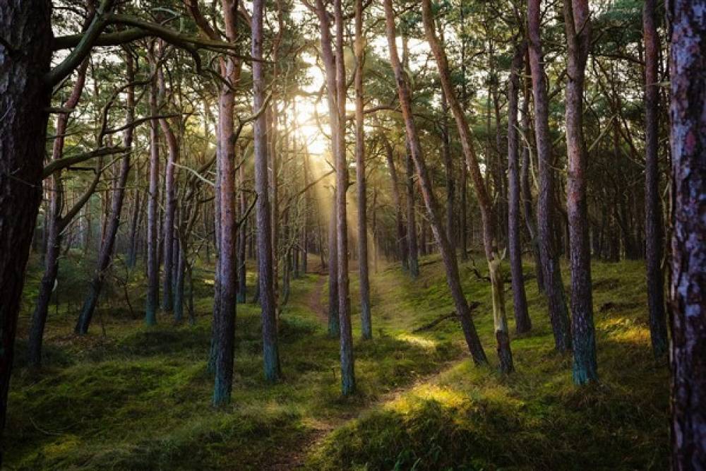 Kahramanmaraş Geben Vadisi, milli park statüsünde